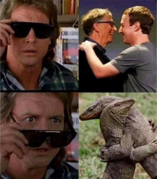 lizard are like
